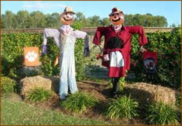 So we decided to make two scarecrows representing the biggest rivalry ...